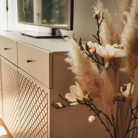 Apartman Classic I Zentrum I Tiefgaragenstellplatz I Balkon Wiesbaden